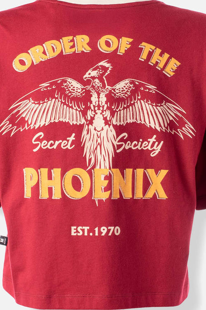 POLERA DE HARRY POTTER BOXY FIT PARA MUJER