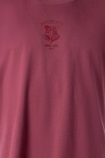  POLERA DE HARRY POTTER REGULAR FIT PARA HOMBRE