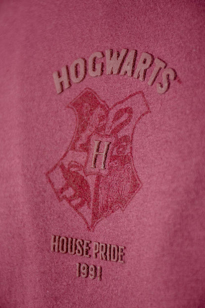  POLERA DE HARRY POTTER REGULAR FIT PARA HOMBRE