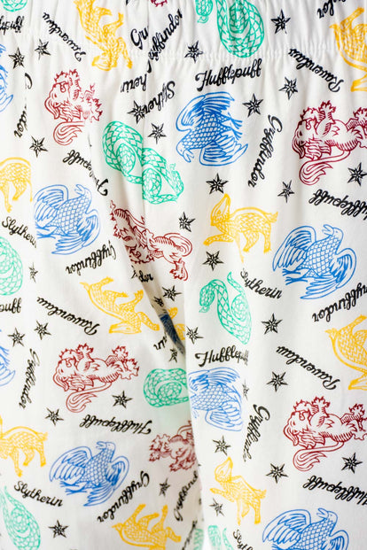  PIJAMA DE HARRY POTTER MANGA LARGA PARA HOMBRE